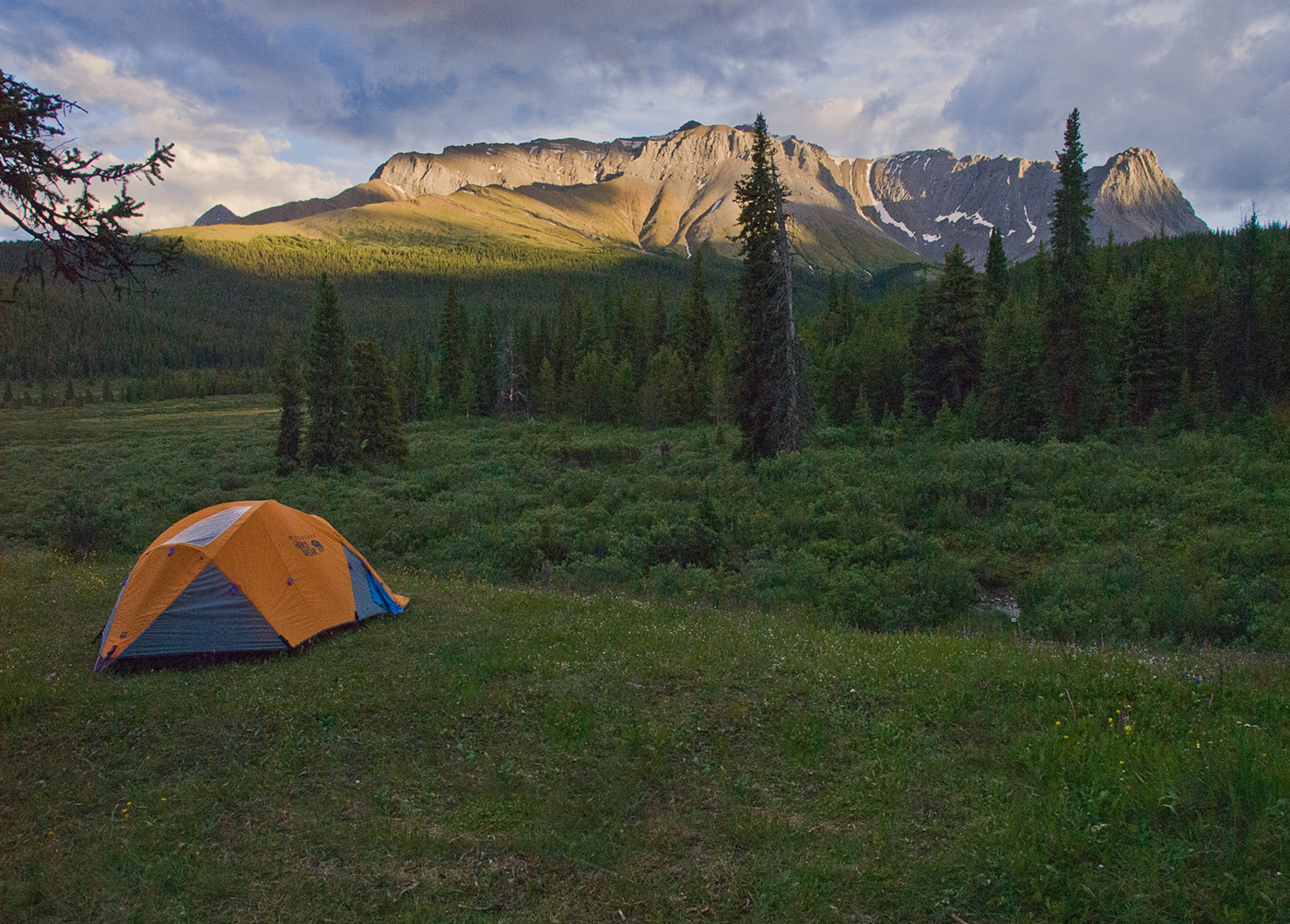 Willmore Wilderness Park, Rocky Mountains, Alberta, Canada